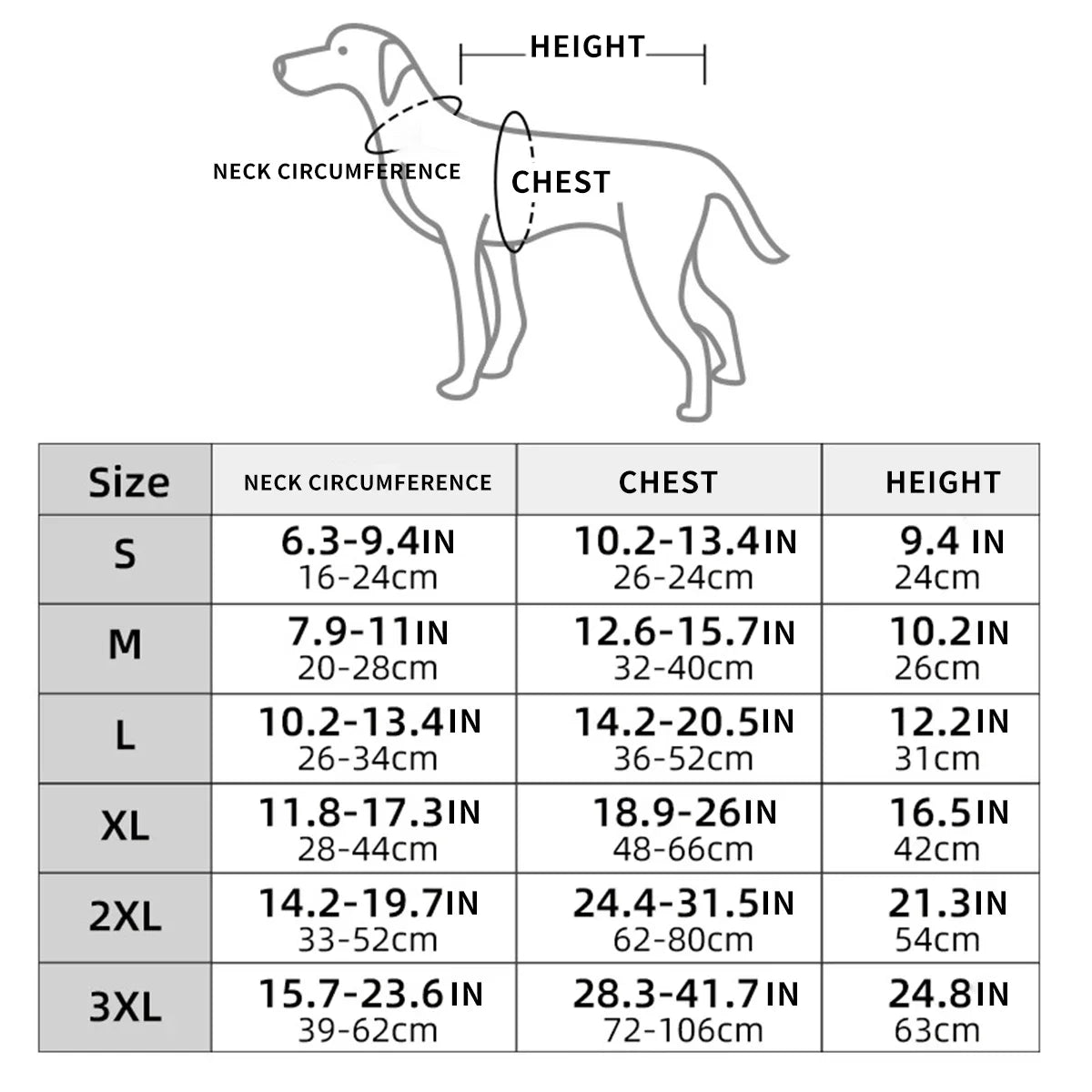 Skelett-Halloween-Kostüm für Hunde – Cooles Verwandlungs-Outfit für Große Hunde