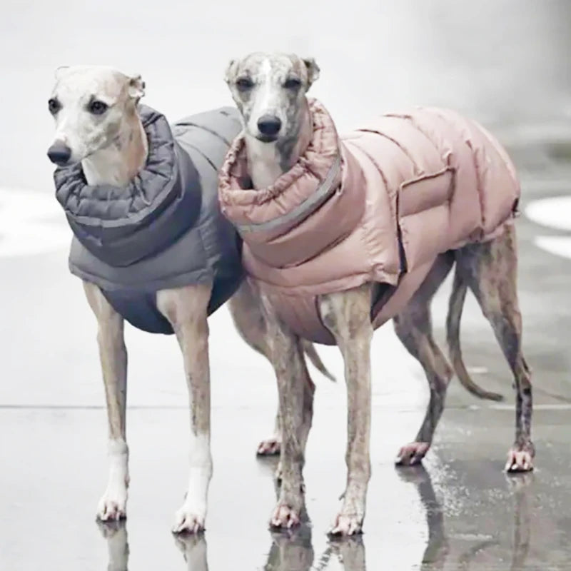 Warme Winter-Daunenweste für Hunde – Winddichte Jacke für Chihuahua & Französische Bulldogge