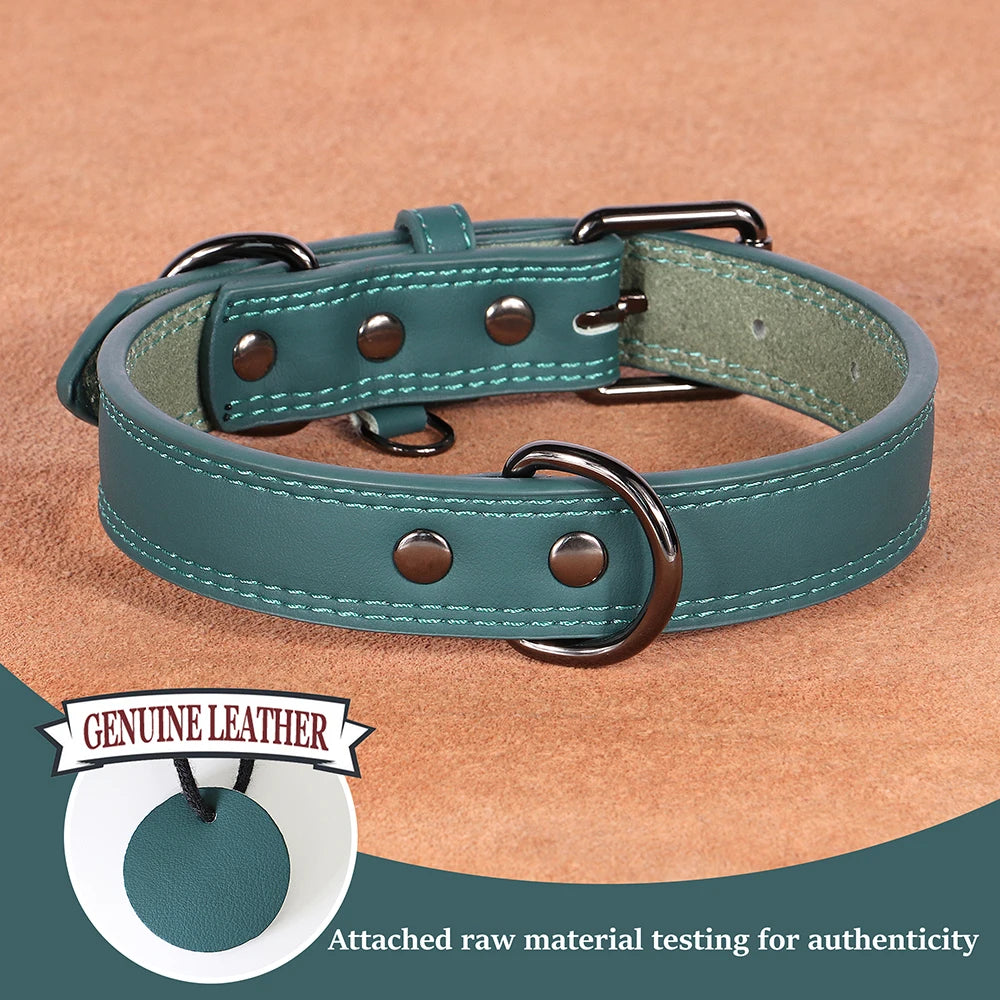 Hundehalsband aus Echtem Leder – Weiches Robustes Halsband für Kleine, Mittelgroße & Große Hunde und Deutsche Schäferhunde