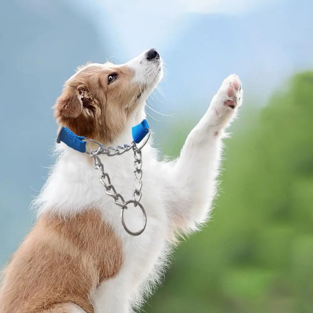 Verstellbares Nylon-Zughalsband für Hunde – Trainingshalsband mit Geschweißter Gliederkette für Große Hunde