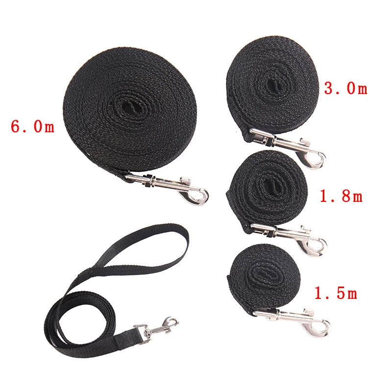 Hundetrainingsleine – Robuste Outdoor Spazier- & Wanderleine