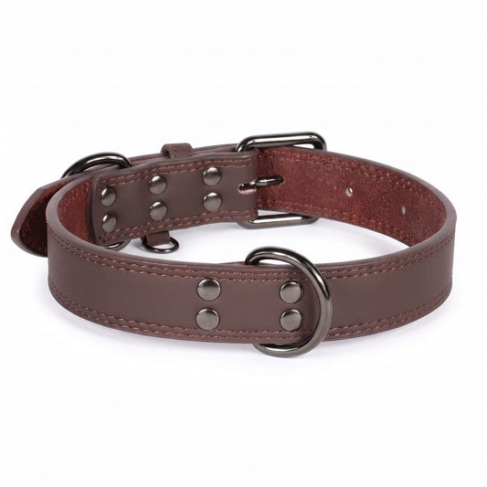 Hundehalsband aus Echtem Leder – Weiches Robustes Halsband für Kleine, Mittelgroße & Große Hunde und Deutsche Schäferhunde