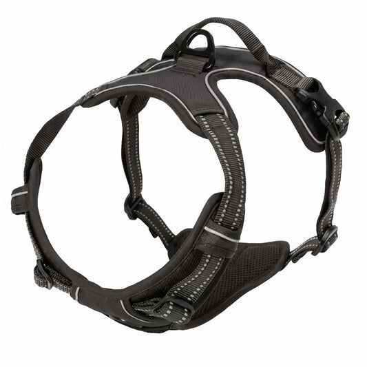 Hunde-Halsband, Geschirr und Leinen-Set in Lederoptik – Verstellbares Spaziergang-Set für Kleine und Mittelgroße Hunde und Welpen
