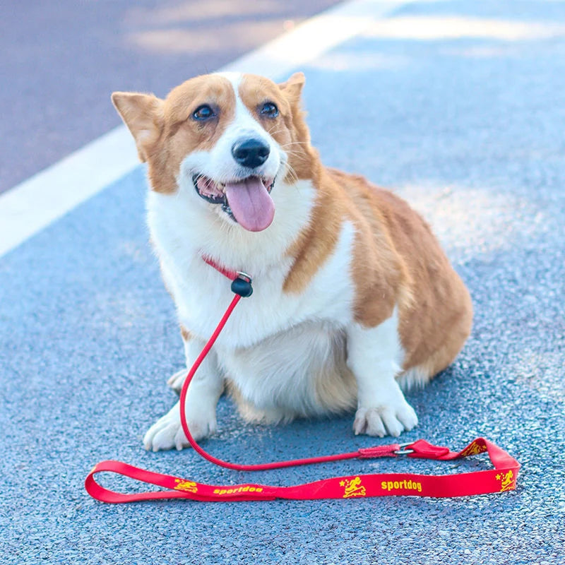 Zwei-in-Eins-Schlaufleine für Hunde – P-Förmige Führleine mit Integriertem Halsband für Kleine und Große Hunde