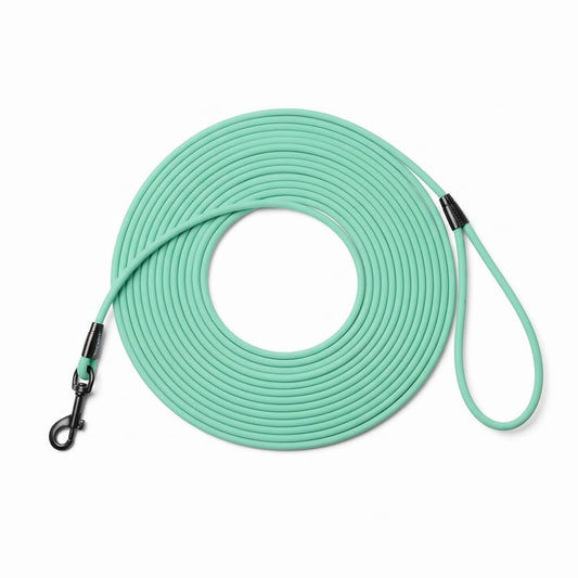 Wasserfeste Lange Hundeleine aus PVC – Strapazierfähige Leine für Rückruftraining, Strand, Garten, Spaziergänge und Freizeit