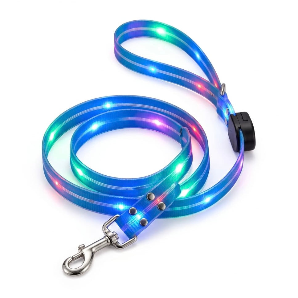 Leuchtendes Hundehalsband mit Leine – Wiederaufladbares Blinkendes Halsband mit Verstellbarer Passform für Spaziergänge
