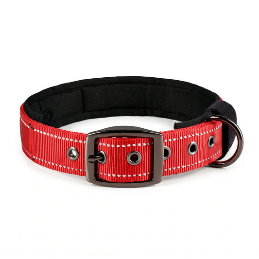 Reflektierendes Gestreiftes Nylon-Haustierhalsband – Ausbruchsicheres Weich Gepolstertes Halsband mit Schnellverschluss für Katzen sowie Kleine, Mittelgroße & Große Hunde