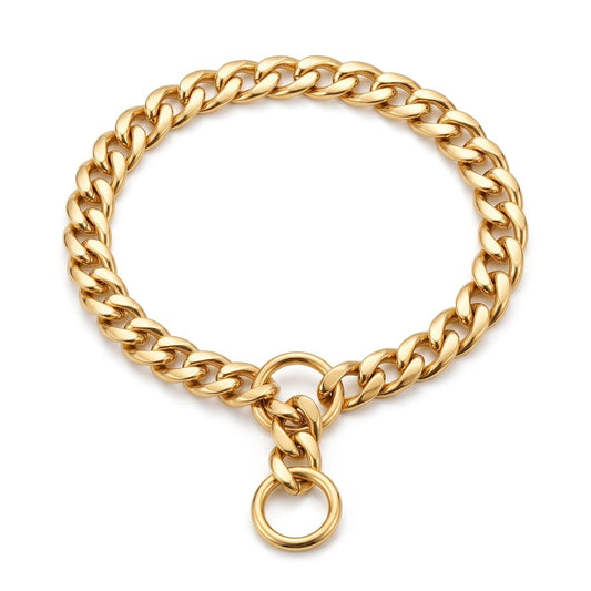 Luxuriöses Goldenes Metall-Hundehalsband – Auffälliges Kettenhalsband für Pitbulls, Bulldoggen, Teddybär-Hunde & Französische Bulldoggen
