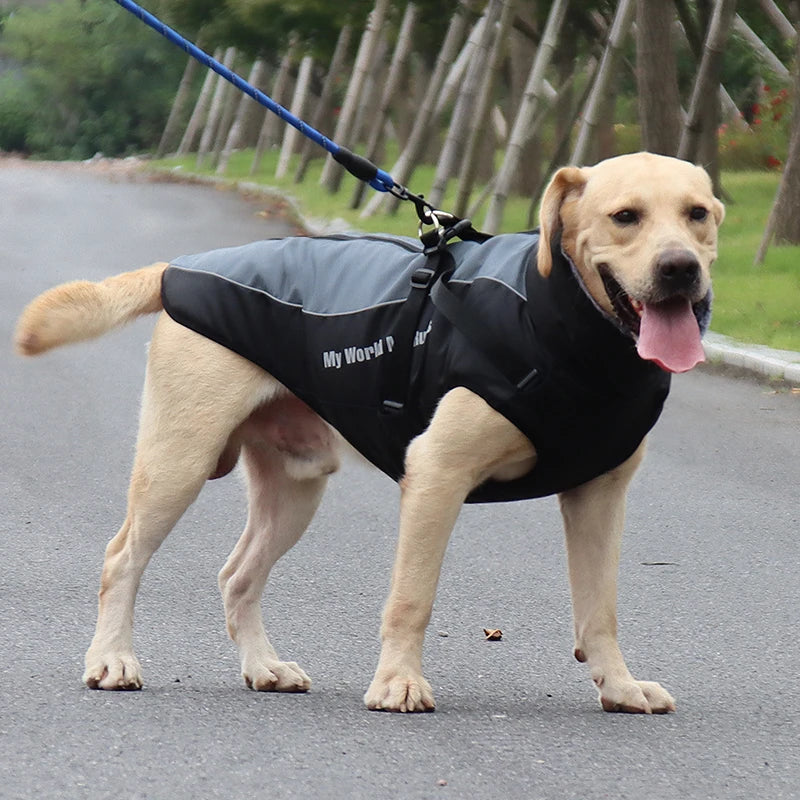 Wasserdichter Mantel für Große Hunde – Warme Herbst- & Winterjacke mit Fellkragen