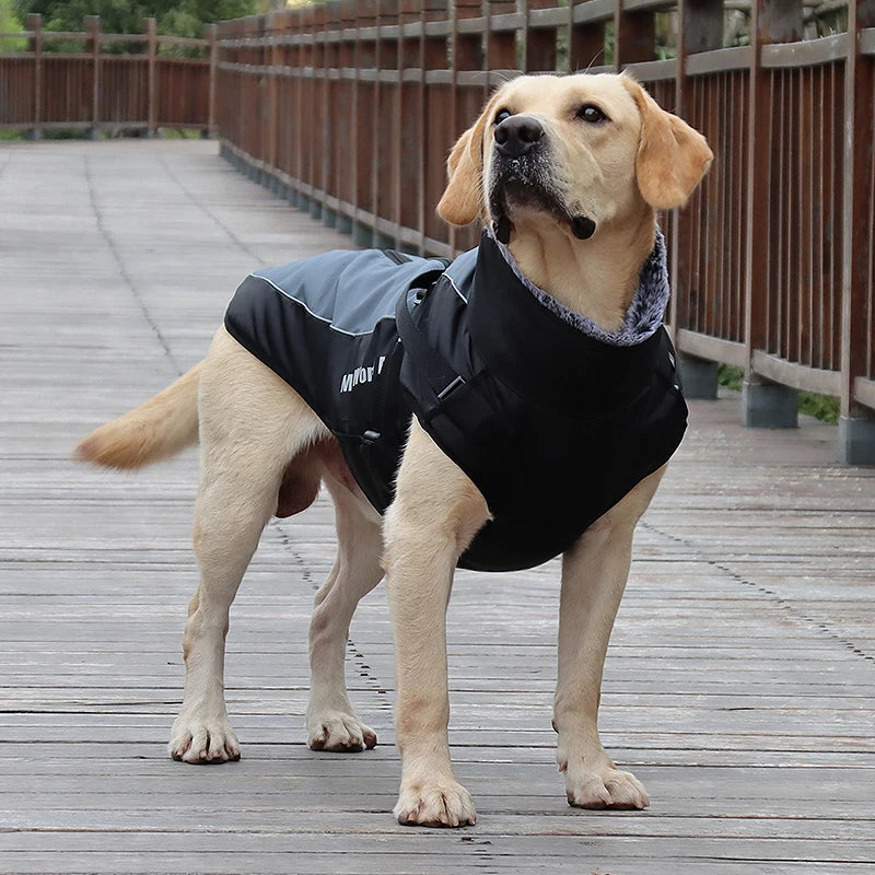 Wasserdichter Mantel für Große Hunde – Warme Herbst- & Winterjacke mit Fellkragen