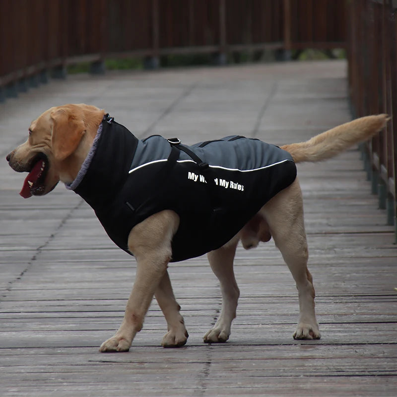 Wasserdichter Mantel für Große Hunde – Warme Herbst- & Winterjacke mit Fellkragen