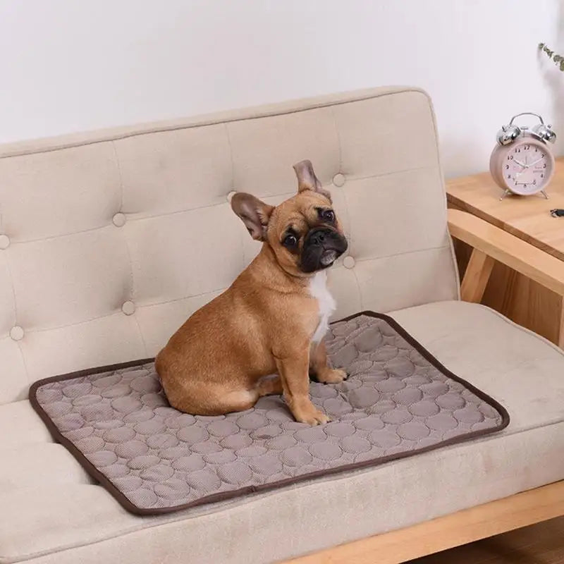 Atmungsaktive Sommer Kühlmatte für Hunde & Katzen – Waschbare Weiche Haustier Schlafmatte und Decke für Sofa Auto Kleine Mittlere Große Hunde
