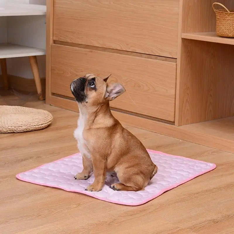 Atmungsaktive Sommer Kühlmatte für Hunde & Katzen – Waschbare Weiche Haustier Schlafmatte und Decke für Sofa Auto Kleine Mittlere Große Hunde