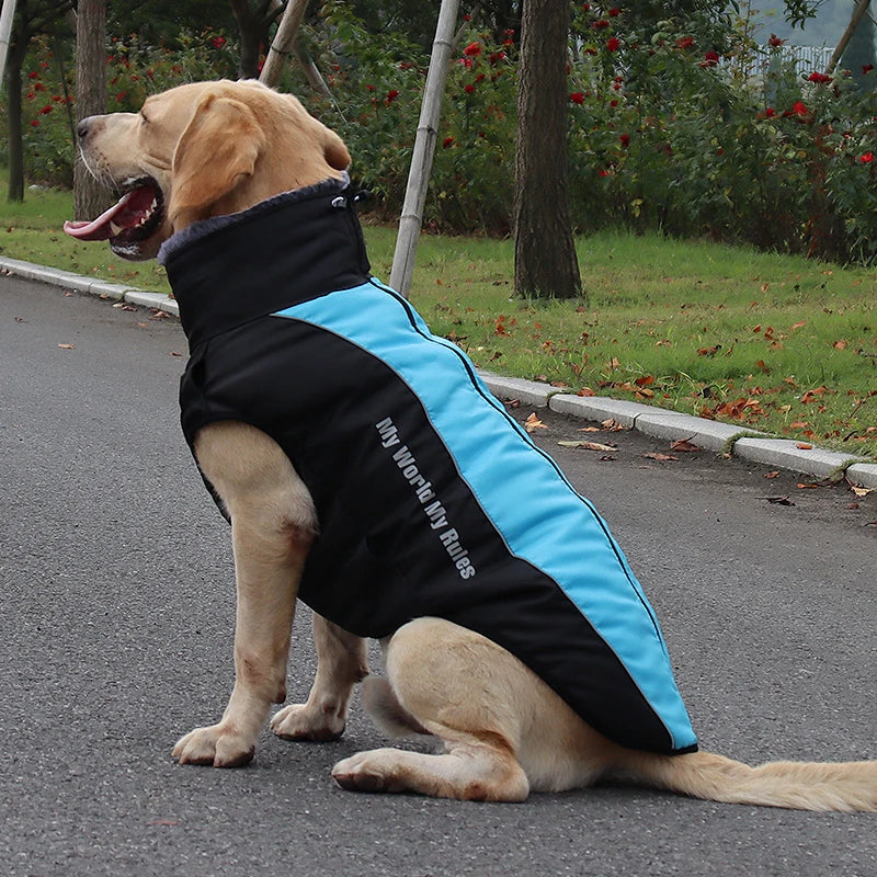 Wasserdichter Mantel für Große Hunde – Warme Herbst- & Winterjacke mit Fellkragen