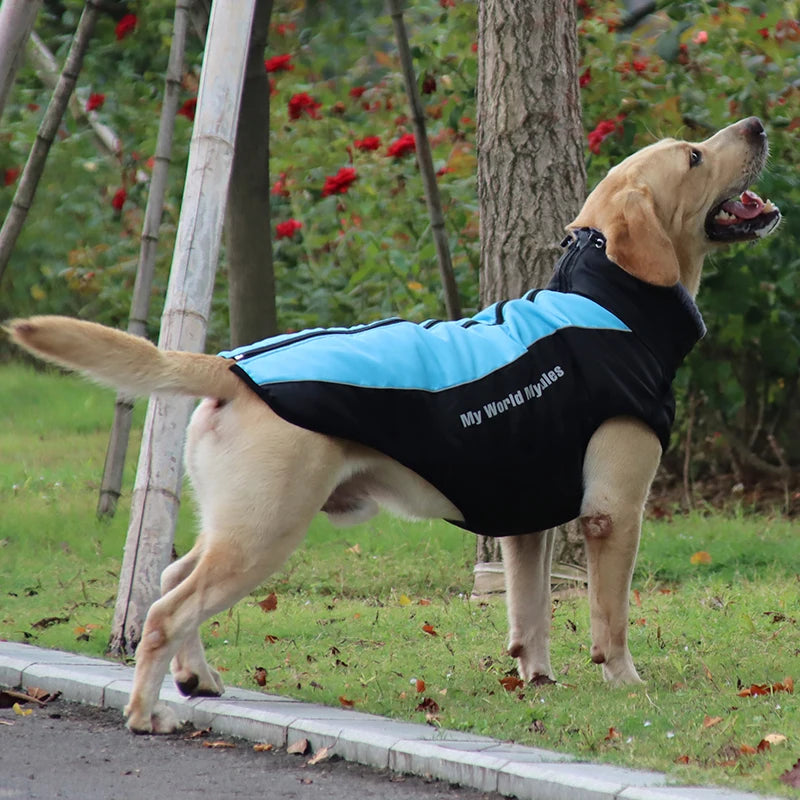 Wasserdichter Mantel für Große Hunde – Warme Herbst- & Winterjacke mit Fellkragen