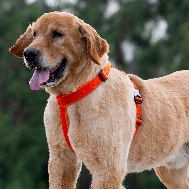 Hochwertiges Hundegeschirr für Geländeaktivitäten – Besonders Bequemes Zugkontrollgeschirr mit 3M-Reflexstreifen