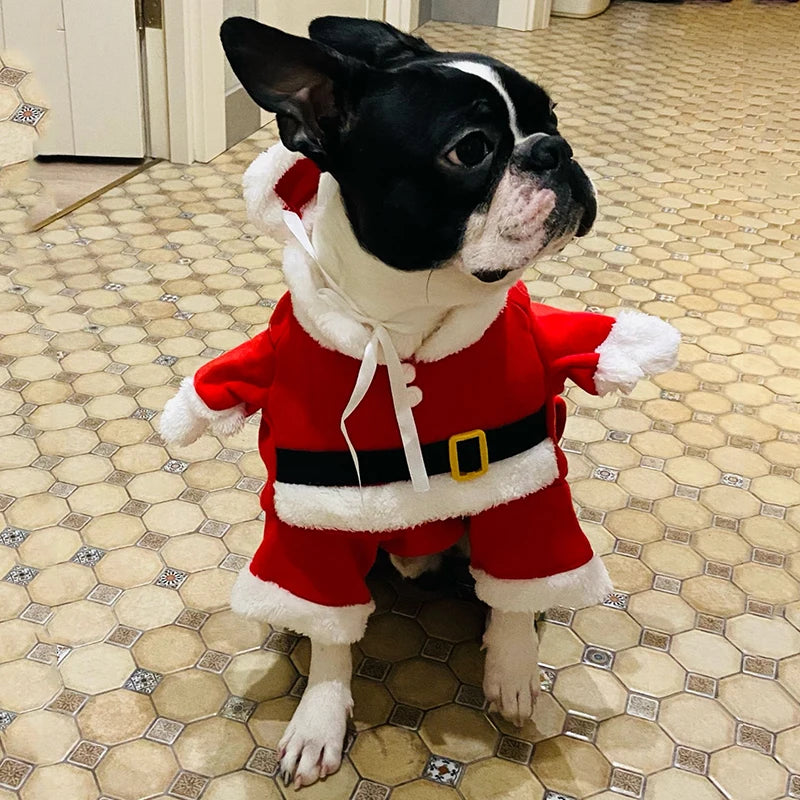 Weihnachtsmann-Overall für Kleine Hunde & Katzen – Süßes Weihnachts-Cosplay-Kostüm