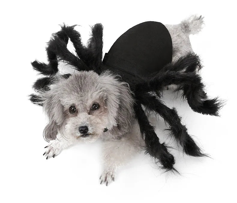 Lustiges Spinnenkostüm für Haustiere – Halloween-Cosplay-Outfit für Kleine & Mittelgroße Hunde & Katzen