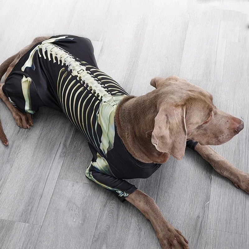 Skelett-Halloween-Kostüm für Hunde – Cooles Verwandlungs-Outfit für Große Hunde