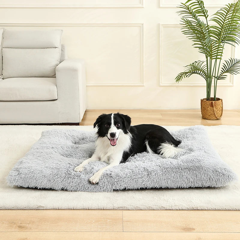 Weiches Langplüsch Hundebett & Haustier Schlafsofa – Gemütliches Korb-Kissen und Katzenbett für Kleine Mittlere Große Hunde, Welpen & Katzen