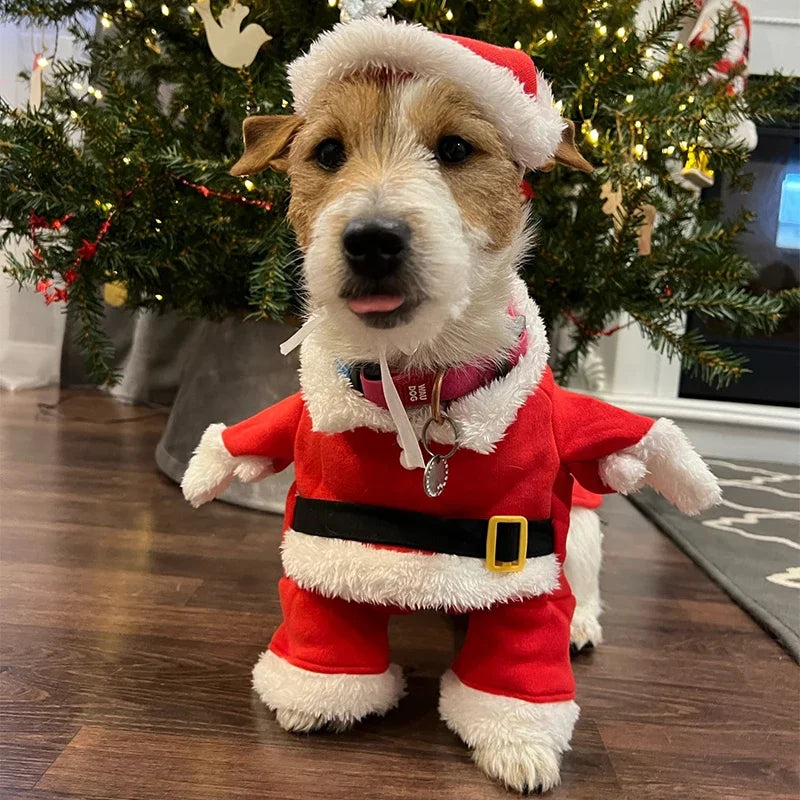 Weihnachtsmann-Overall für Kleine Hunde & Katzen – Süßes Weihnachts-Cosplay-Kostüm