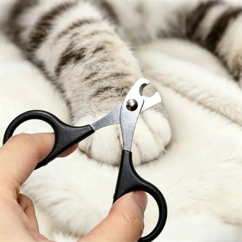 Krallenschere aus Edelstahl – Krallenschneider mit Halbmondförmiger Klinge für Katzen, Hunde & Kleine Haustiere