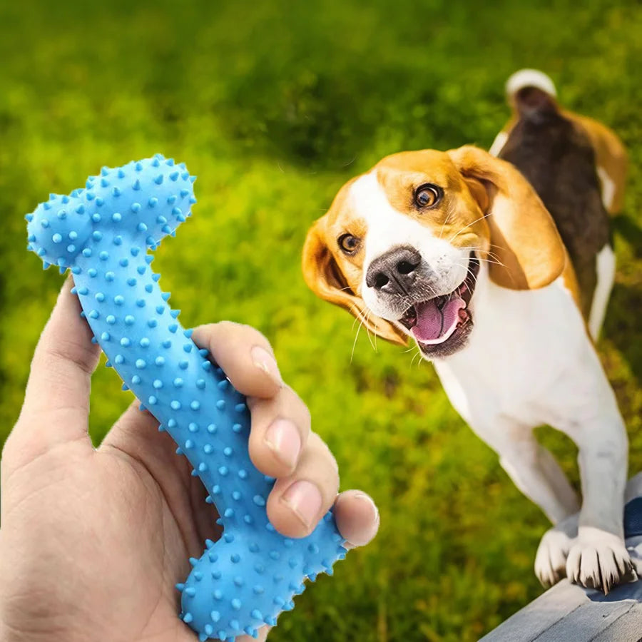 3-teiliges Gummi-Zahnbürsten-Kauspielzeug für Hunde – Knochenförmiger Zahnreinigungs-Kaustick & Trainingsspielzeug für Kleine Hunde und Welpen