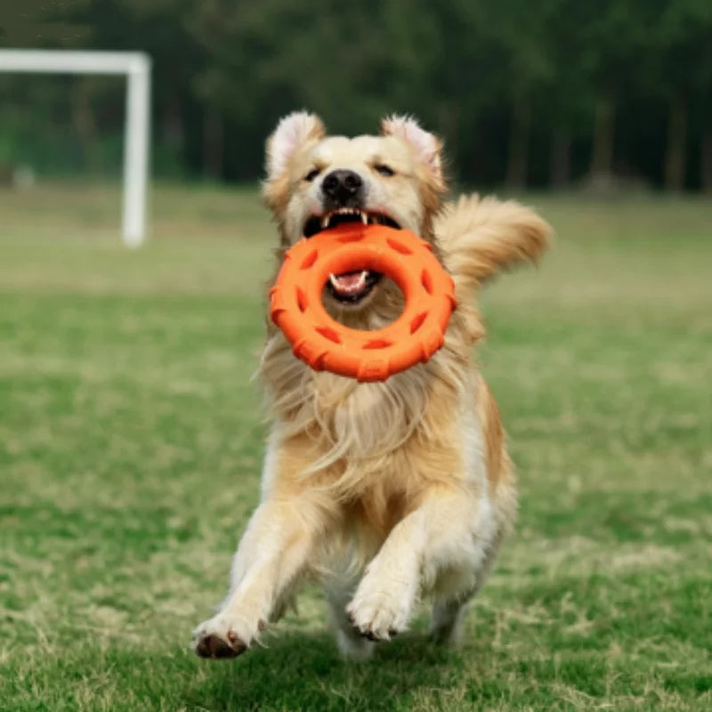 TPR-Schaumstoff Zugring für Hunde – Bissfestes Interaktives Kau- & Zerrspielzeug für Starke Kauer, Training und Spielzeit