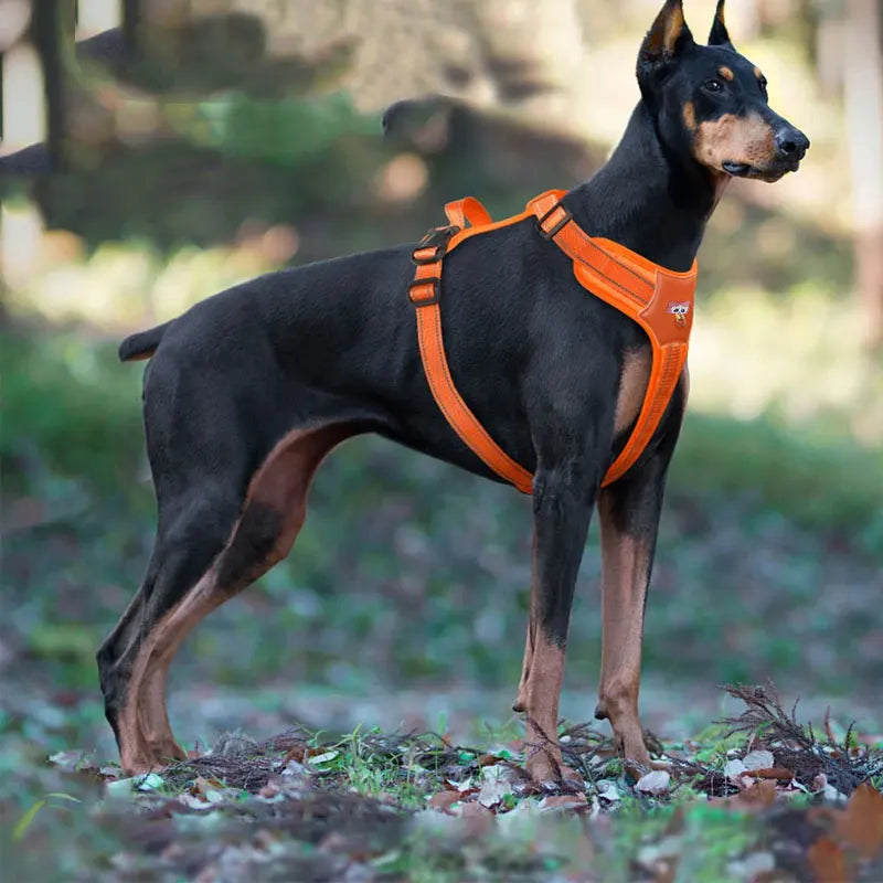 Reflektierendes Wasserfestes Hundegeschirr – Robustes Westengeschirr für Dobermänner, Golden Retriever und Große Hunde
