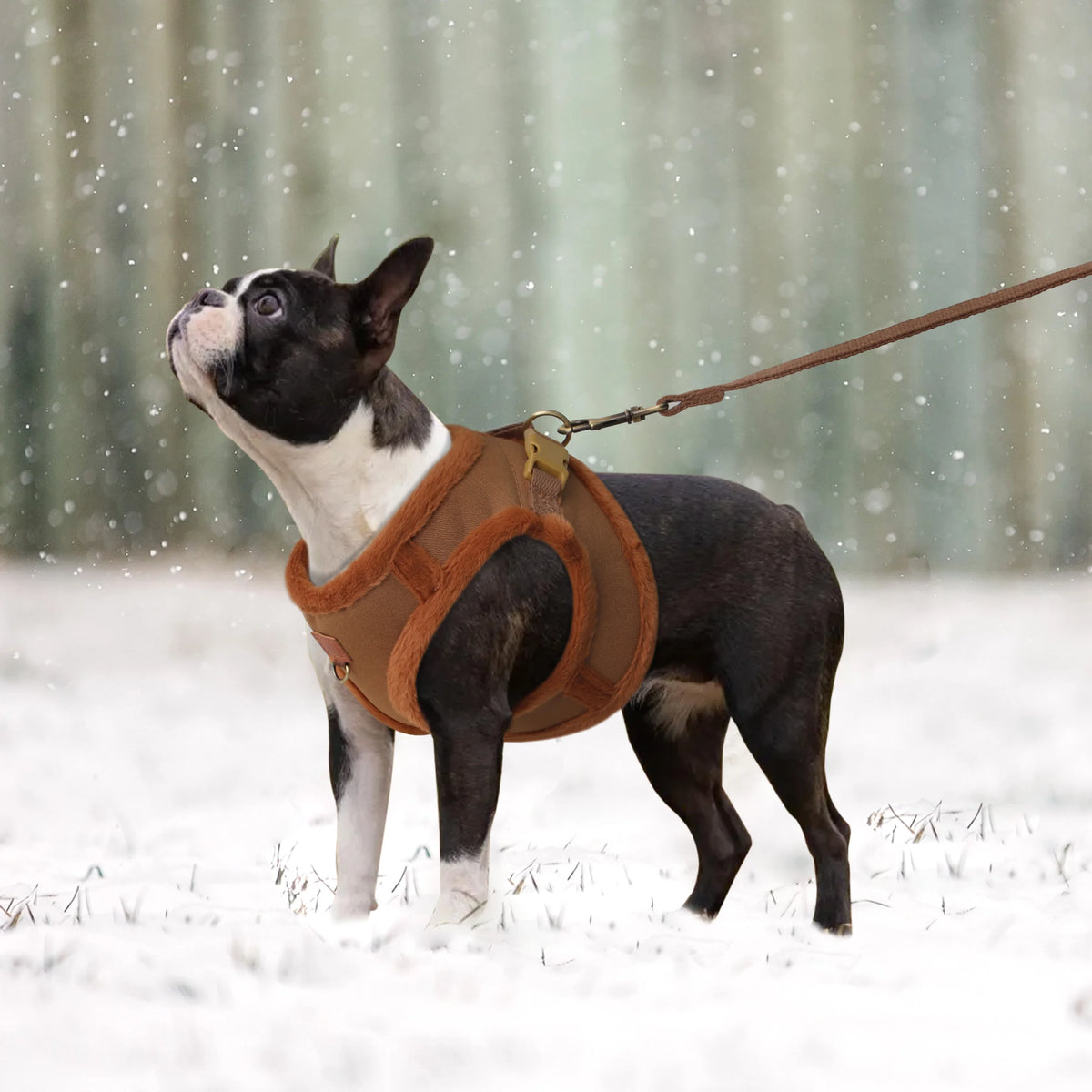 Warmes Dreilagiges Hundegeschirr mit Leine – Weich Gepolstertes Wintergeschirr für Kleine und Mittelgroße Hunde