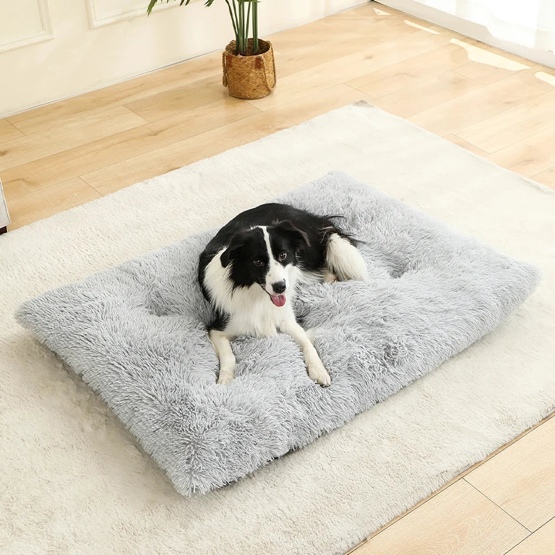 Weiches Langplüsch Hundebett & Haustier Schlafsofa – Gemütliches Korb-Kissen und Katzenbett für Kleine Mittlere Große Hunde, Welpen & Katzen