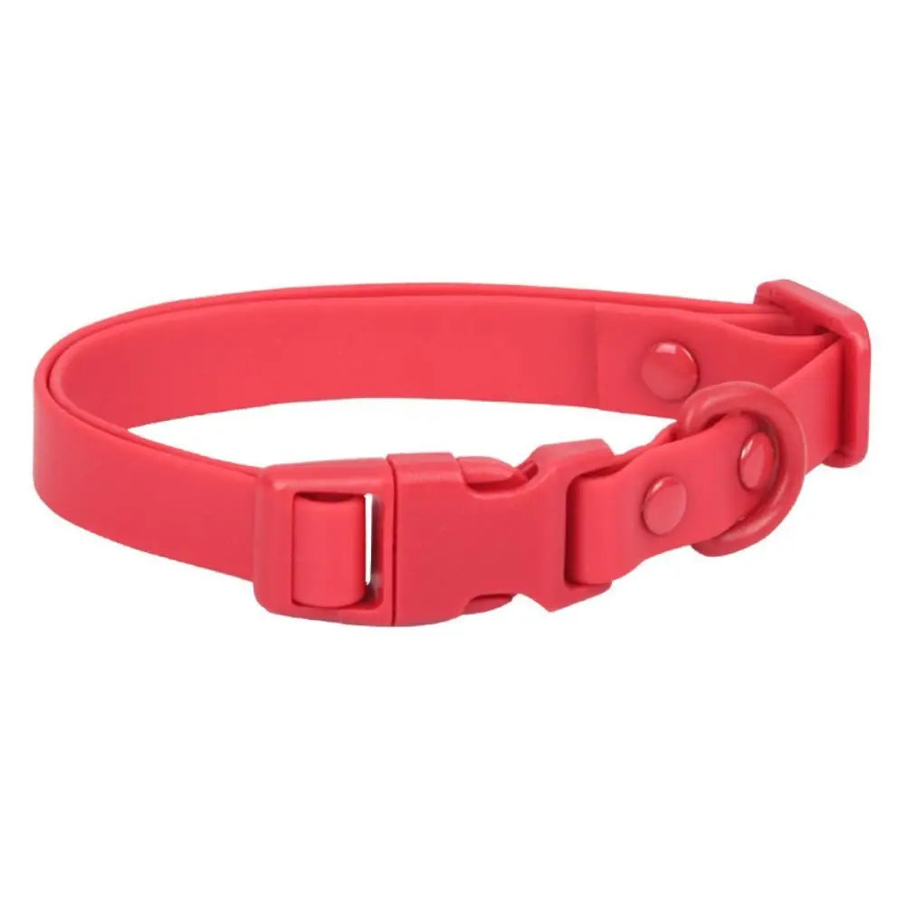 Elastisches Hundehalsband aus Gurtband – Verstellbares Wasserfestes Rostbeständiges Waschbares Halsband mit Sicherheitsverschluss