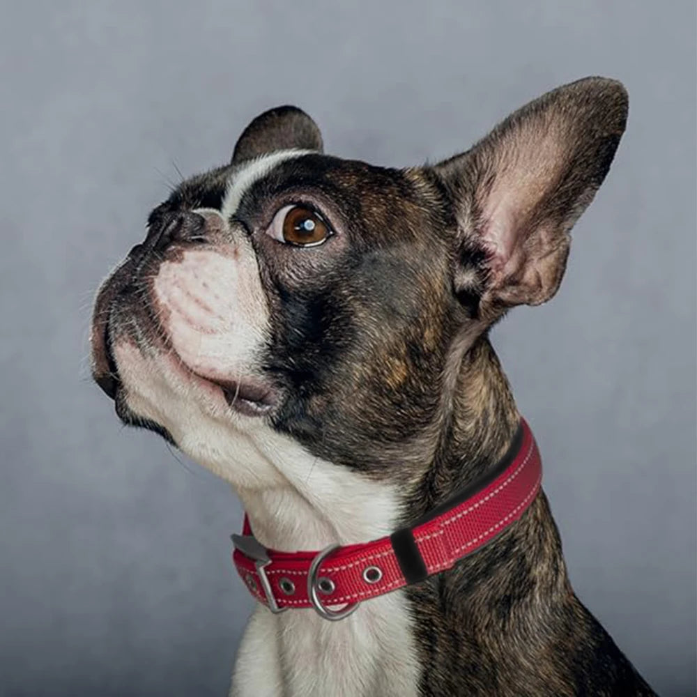Reflektierendes Gestreiftes Nylon-Haustierhalsband – Ausbruchsicheres Weich Gepolstertes Halsband mit Schnellverschluss für Katzen sowie Kleine, Mittelgroße & Große Hunde
