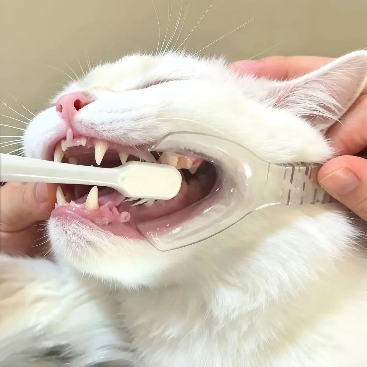 Maulpflege-Set für Haustiere – Handgeführte Maulöffnungshilfe & Fingerzahnbürste zur Zahnpflege für Hunde und Katzen
