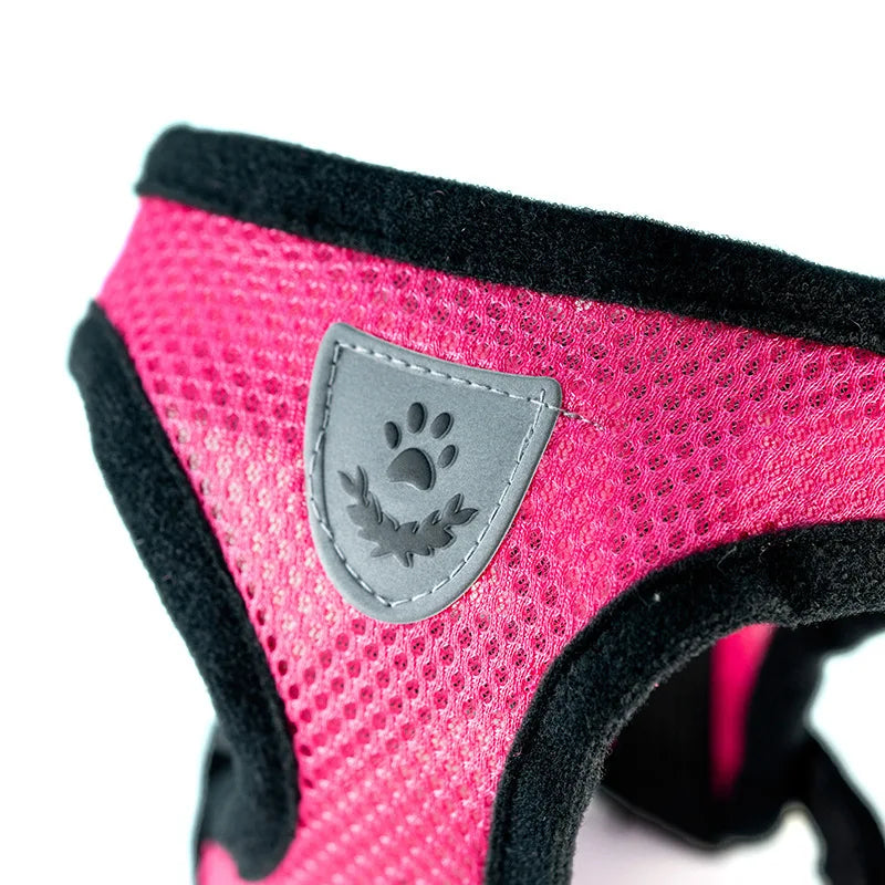 Verstellbares Haustiergeschirr mit Leine – Atmungsaktives Netzgeschirr aus Polyester für Kleine und Mittelgroße Hunde, Welpen und Katzen