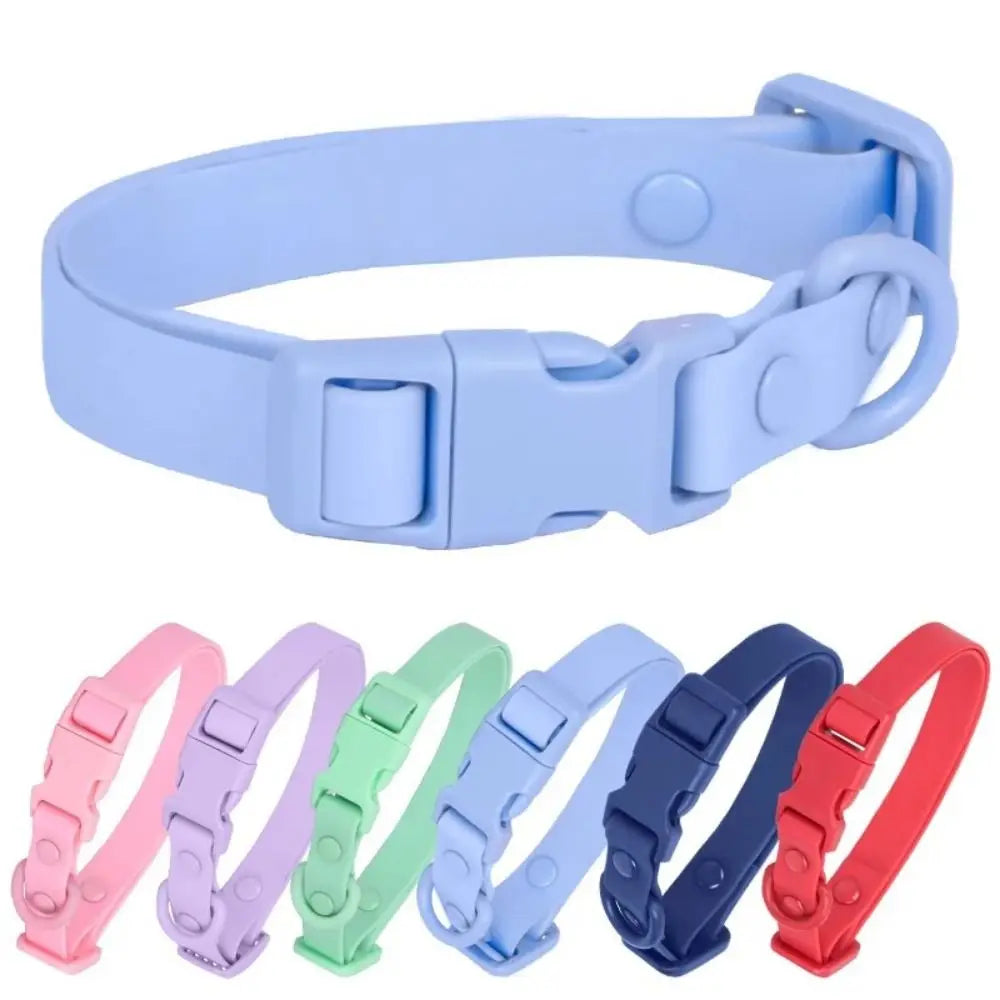 Elastisches Hundehalsband aus Gurtband – Verstellbares Wasserfestes Rostbeständiges Waschbares Halsband mit Sicherheitsverschluss