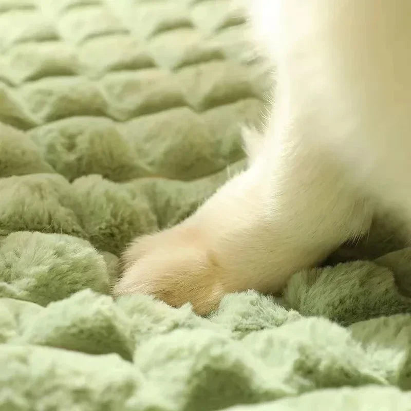 Orthopädisches Memory-Foam Hundebett mit Abnehmbarem Waschbarem Bezug – Weiches Winter Haustierkissen für Kleine Mittlere Große Hunde & Katzen