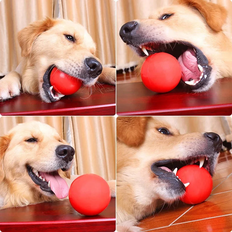 Robuster Vollgummi-Hundeball – Strapazierfähiges Kau-, Apportier- & Trainingsspielzeug für Welpen, Mittelgroße und Große Hunde