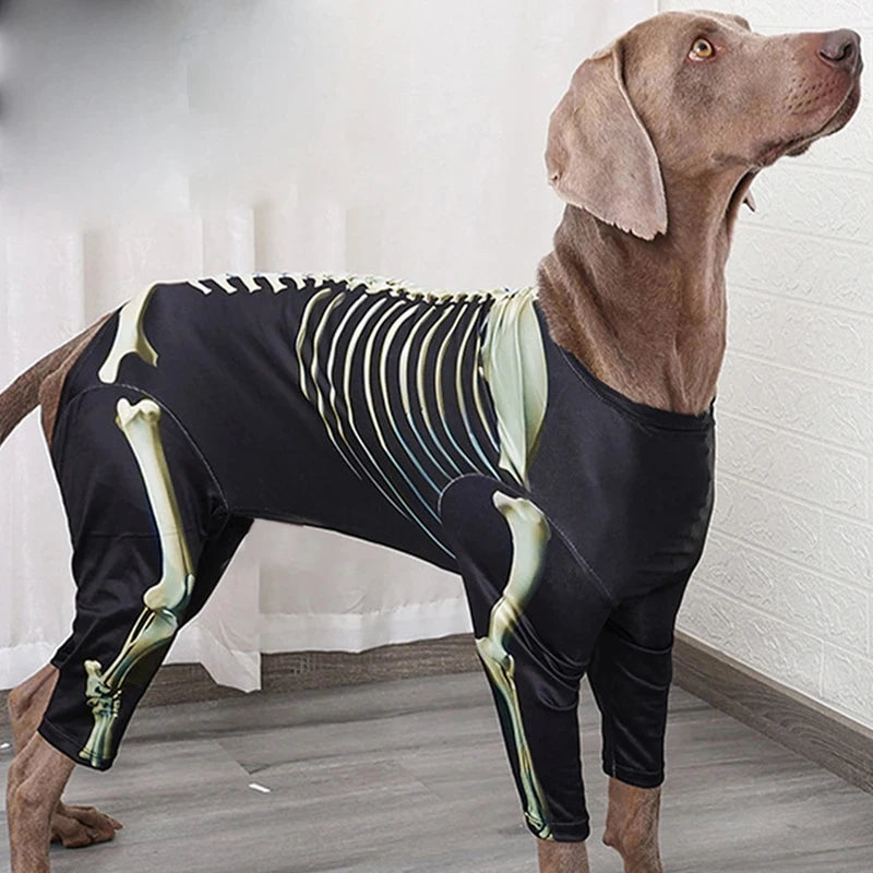Skelett-Halloween-Kostüm für Hunde – Cooles Verwandlungs-Outfit für Große Hunde