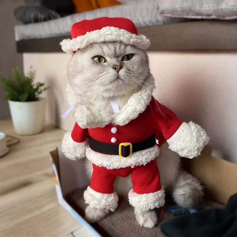 Weihnachtsmann-Overall für Kleine Hunde & Katzen – Süßes Weihnachts-Cosplay-Kostüm