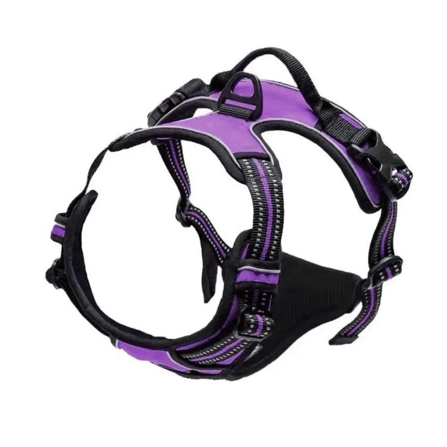 Hunde-Halsband, Geschirr und Leinen-Set in Lederoptik – Verstellbares Spaziergang-Set für Kleine und Mittelgroße Hunde und Welpen