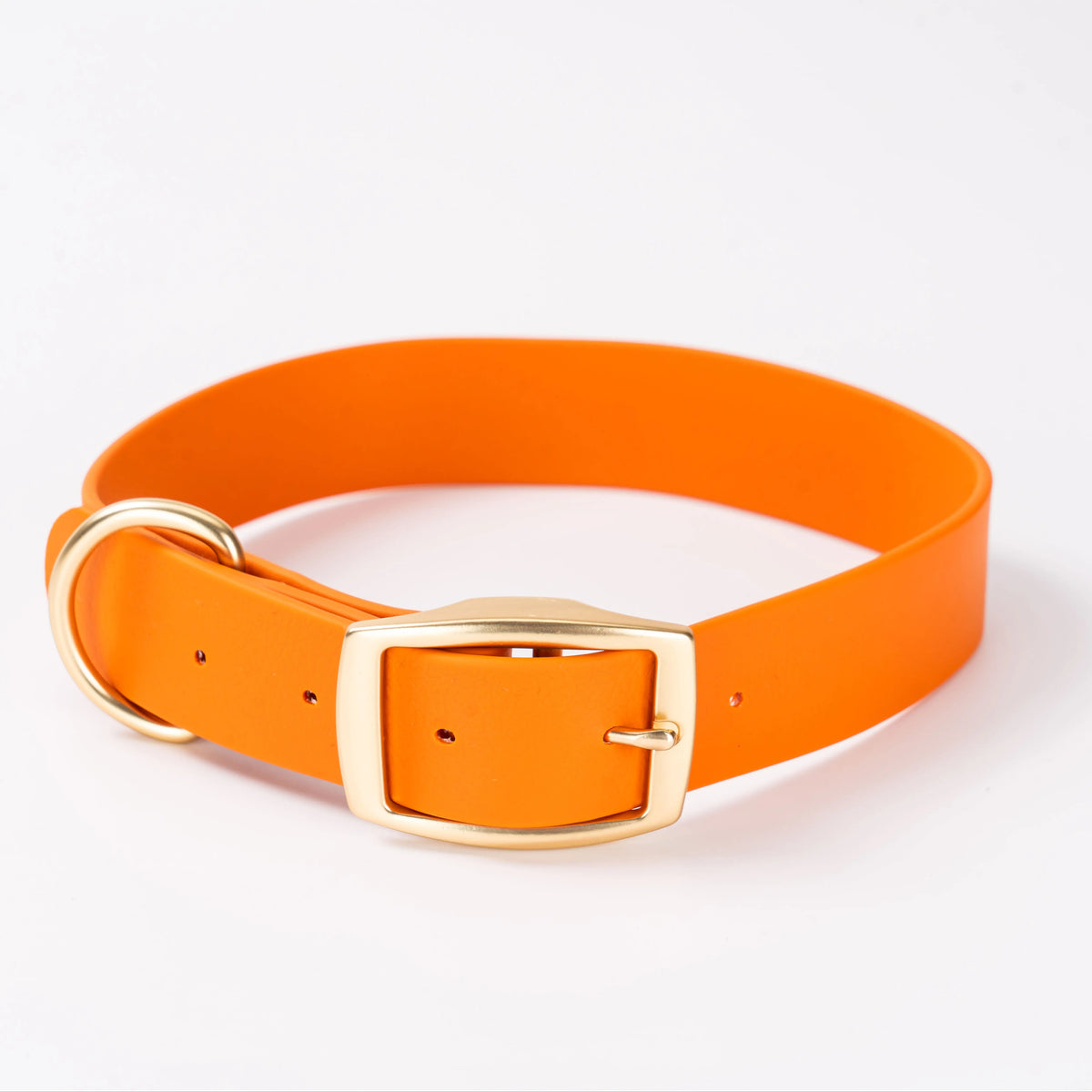 Wasserfestes Hundehalsband- & Leinen-Set aus PVC – Mehrfarbiges Verstellbares Pflegeleichtes Halsband mit Dornschließe für Alle Hunderassen