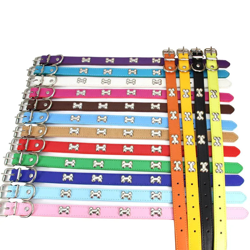 Lederhalsband mit Knochenmotiv – Robustes Verstellbares Haustierhalsband für Kleine & Große Hunde, Welpen, Chihuahuas, Möpse und Katzen