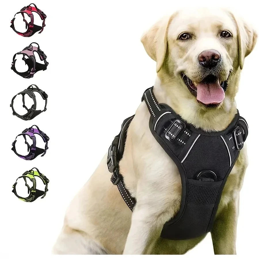 Hunde-Halsband, Geschirr und Leinen-Set in Lederoptik – Verstellbares Spaziergang-Set für Kleine und Mittelgroße Hunde und Welpen