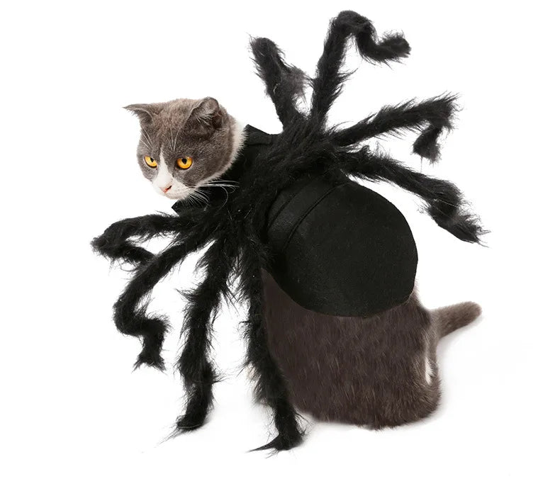 Lustiges Spinnenkostüm für Haustiere – Halloween-Cosplay-Outfit für Kleine & Mittelgroße Hunde & Katzen