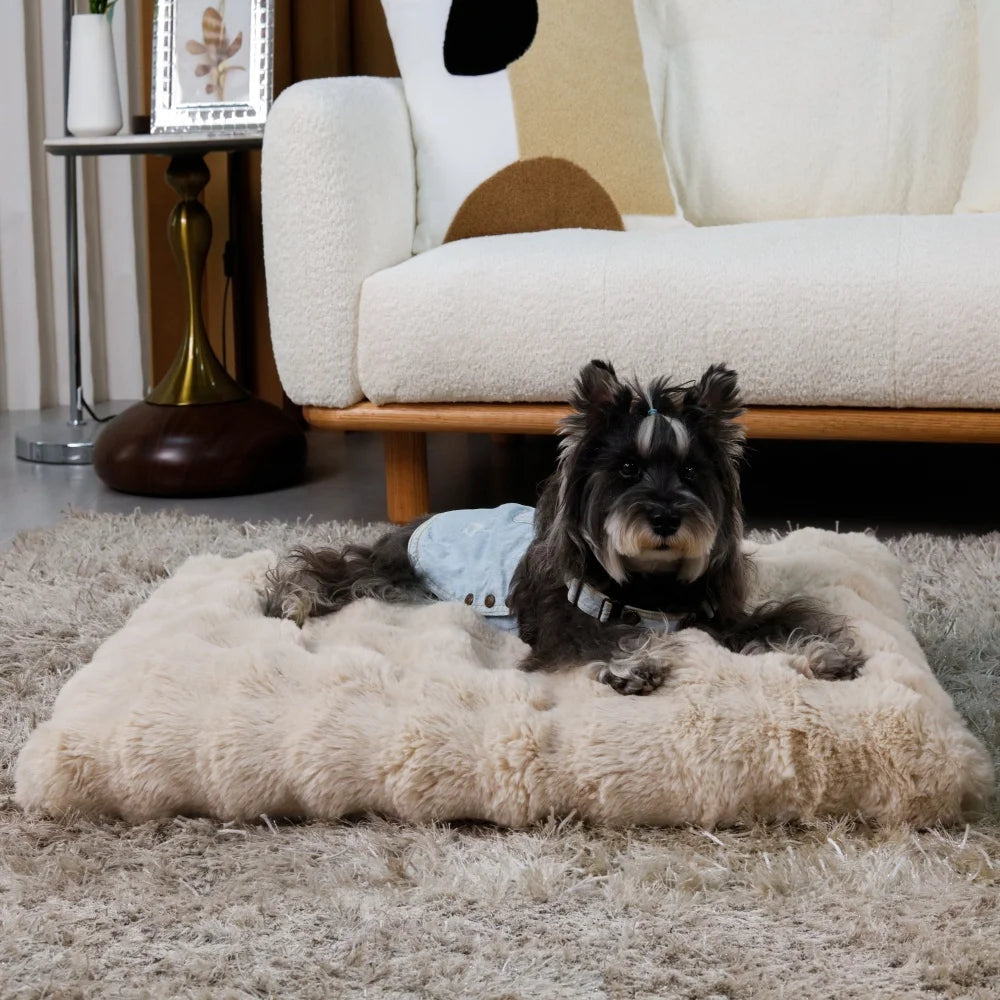 Ultra Plüsch Weiches Hundebett & Waschbares Haustierkissen – Gemütliche Welpenmatratze und Schlafmatte für Kleine Mittlere Große Hunde