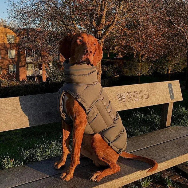 Warme Winter-Daunenweste für Hunde – Winddichte Jacke für Chihuahua & Französische Bulldogge