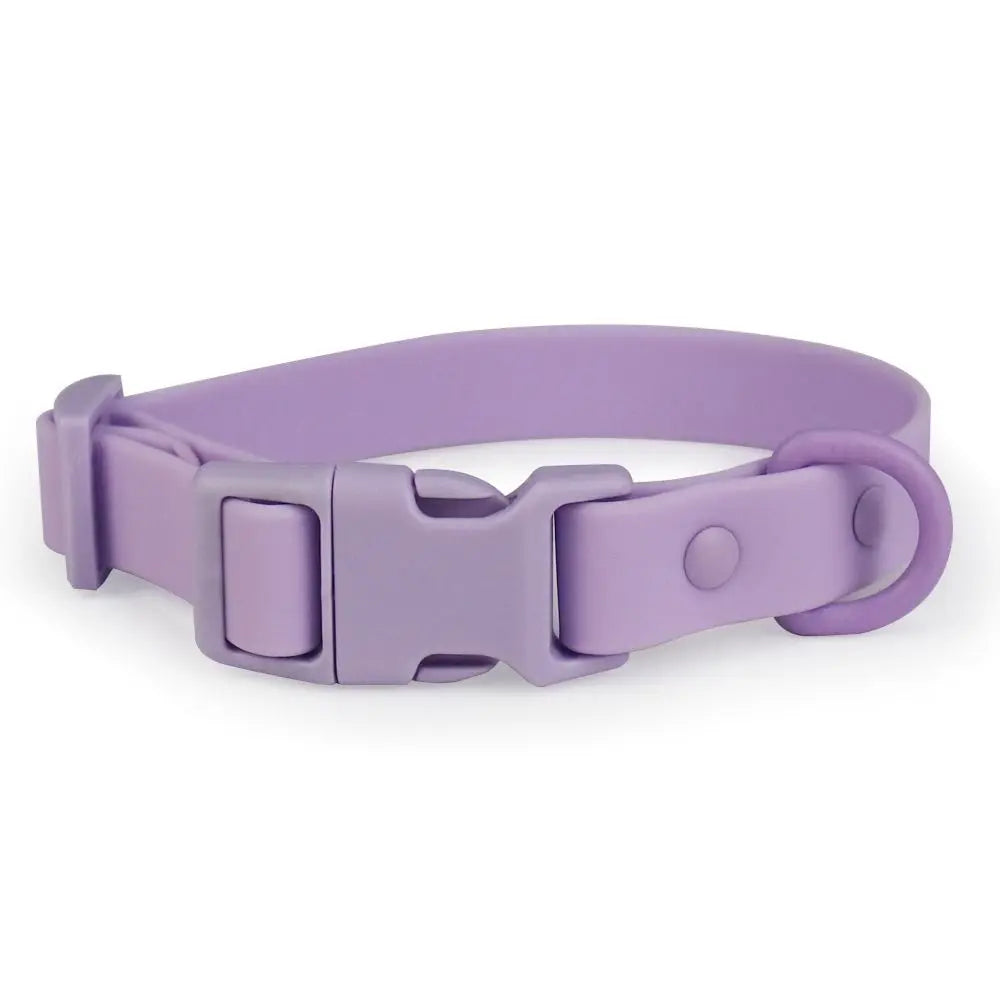 Elastisches Hundehalsband aus Gurtband – Verstellbares Wasserfestes Rostbeständiges Waschbares Halsband mit Sicherheitsverschluss