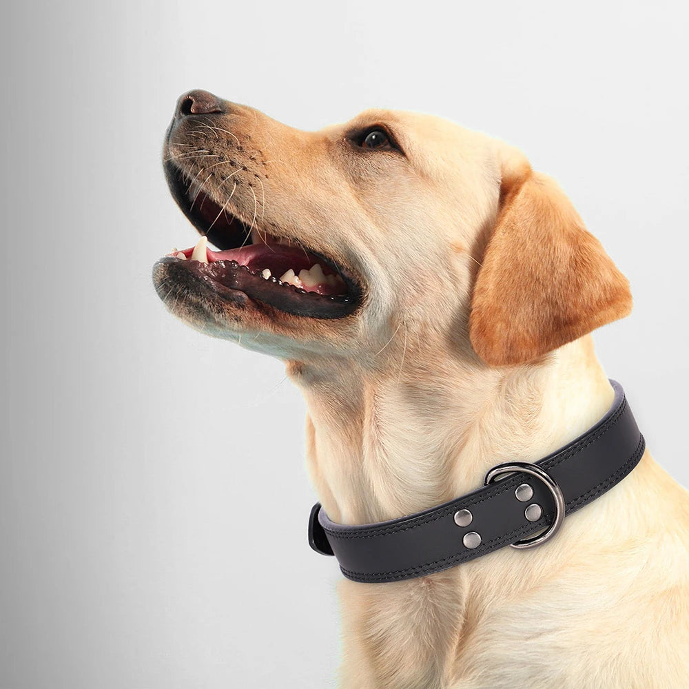 Hundehalsband aus Echtem Leder – Weiches Robustes Halsband für Kleine, Mittelgroße & Große Hunde und Deutsche Schäferhunde
