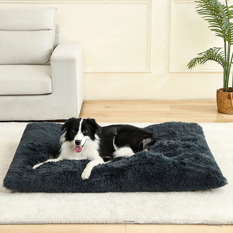 Weiches Langplüsch Hundebett & Haustier Schlafsofa – Gemütliches Korb-Kissen und Katzenbett für Kleine Mittlere Große Hunde, Welpen & Katzen